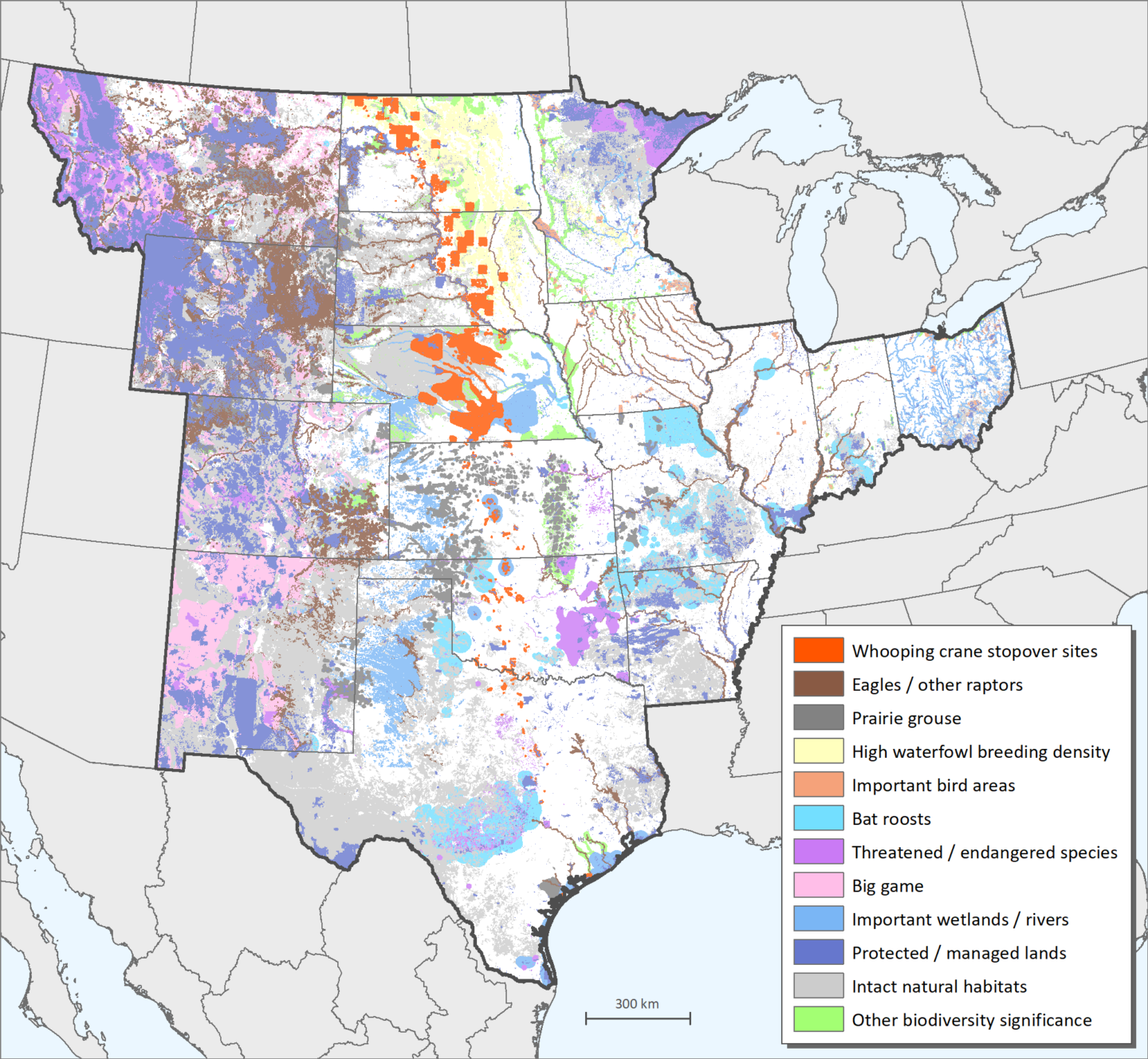 A map of central U.S. wildlife layer in Site Wind Right mapping analysis.